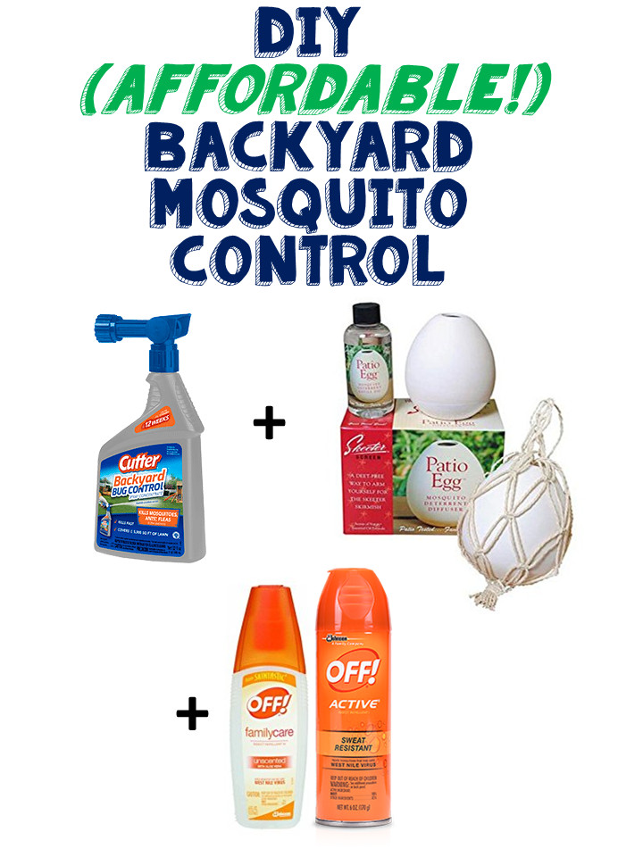 Best Backyard Bug Control
 Live and Learn DIY Affordable Backyard Mosquito Control