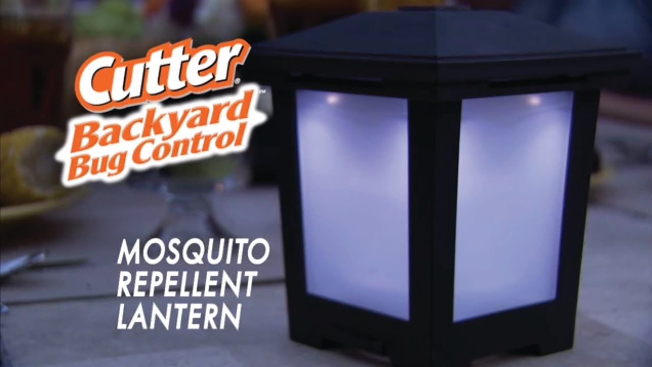 Best Backyard Bug Control
 Cutter Backyard™ Bug Control