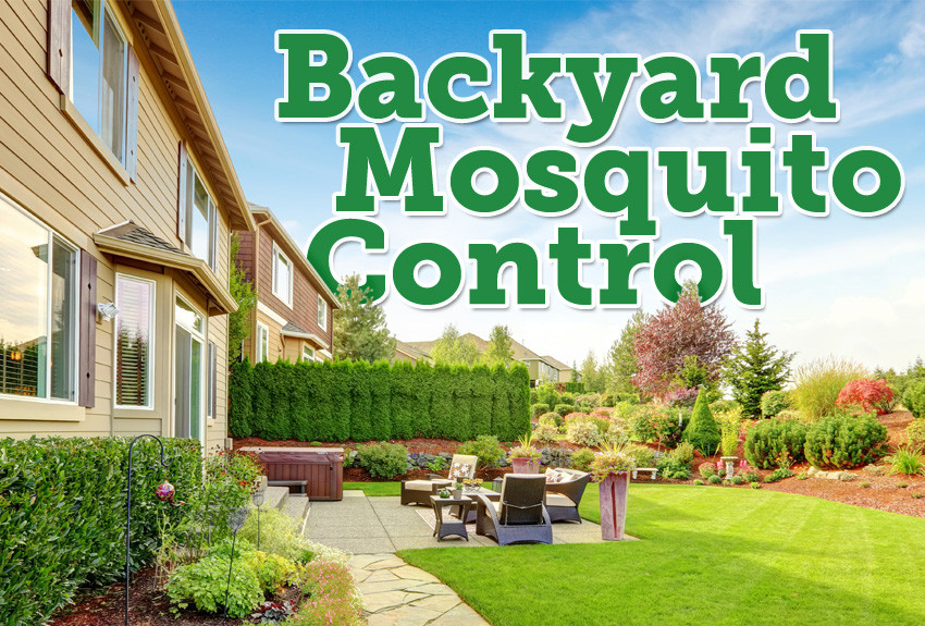 Best Backyard Bug Control
 The Best Mosquito Granules for Backyards Mosquito
