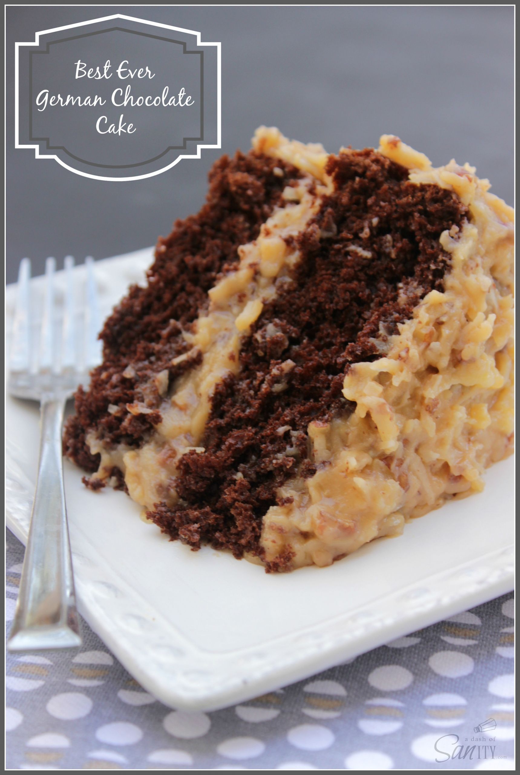 Best Birthday Cake Recipe Ever
 Amazing Layer Cake Recipes The Idea Room