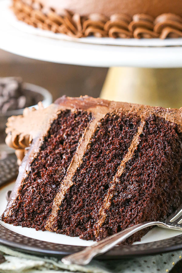 Best Moist Chocolate Cake Recipe
 The BEST Chocolate Cake Recipe
