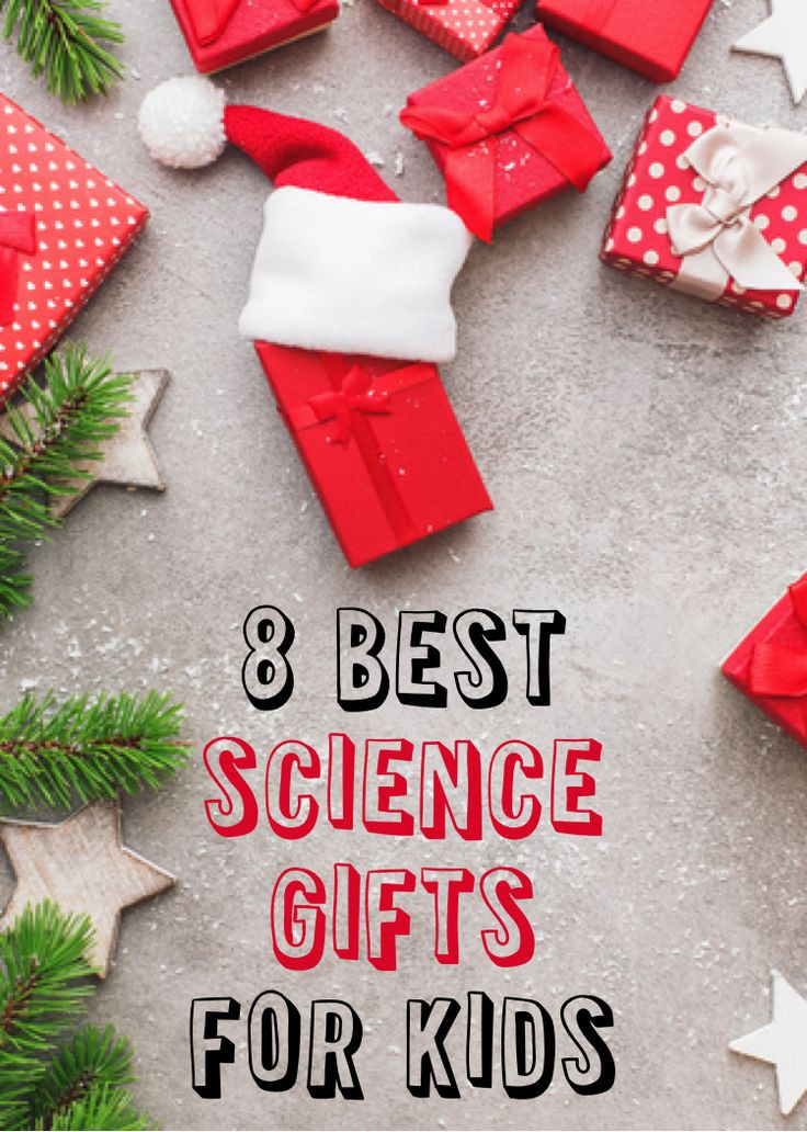 Best Science Gifts For Kids
 967 best Science Teacher Stuff images on Pinterest
