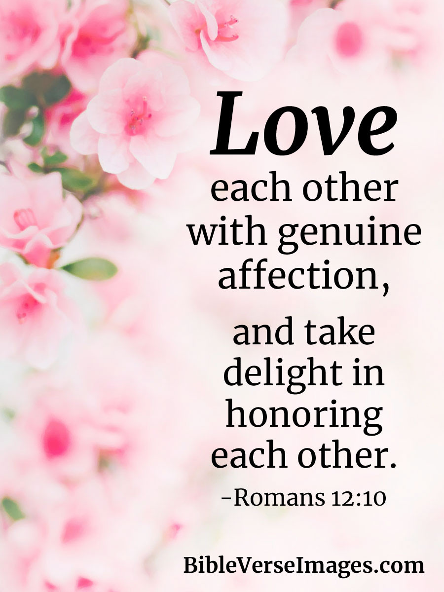 Bible Quotes About Love And Marriage
 Bible Verse about Marriage Romans 12 10 Bible Verse