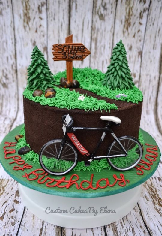 Bicycle Birthday Cake
 PHOTOGALLERY Bicycle Themed Cakes Are the Answer No