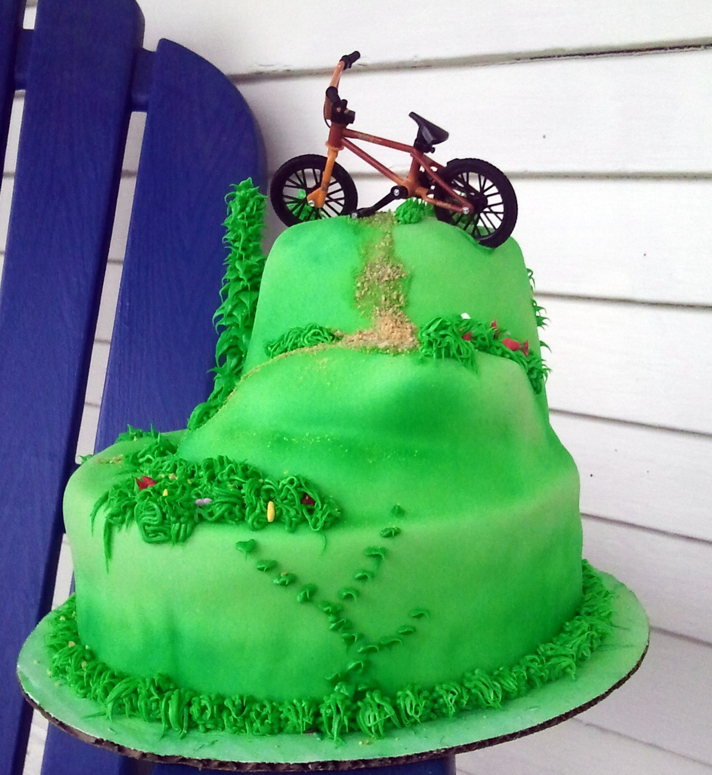 Bicycle Birthday Cake
 The Cake Villain Mountain Bike Birthday Cake