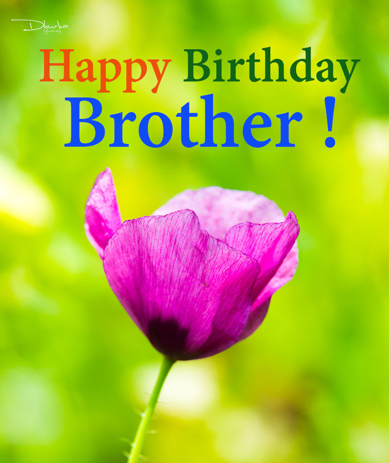 Big Brother Birthday Quotes
 50 Big Brother Birthday Wishes and Quotes In Nepali