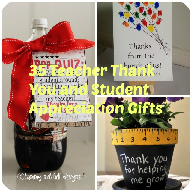 Big Thank You Gift Ideas
 35 Teacher Thank You and Student Appreciation Gifts Big