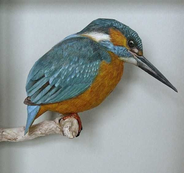 Bird Crafts For Adults
 Amazingly Realistic 3d Paper Birds Inspiring Paper Crafts