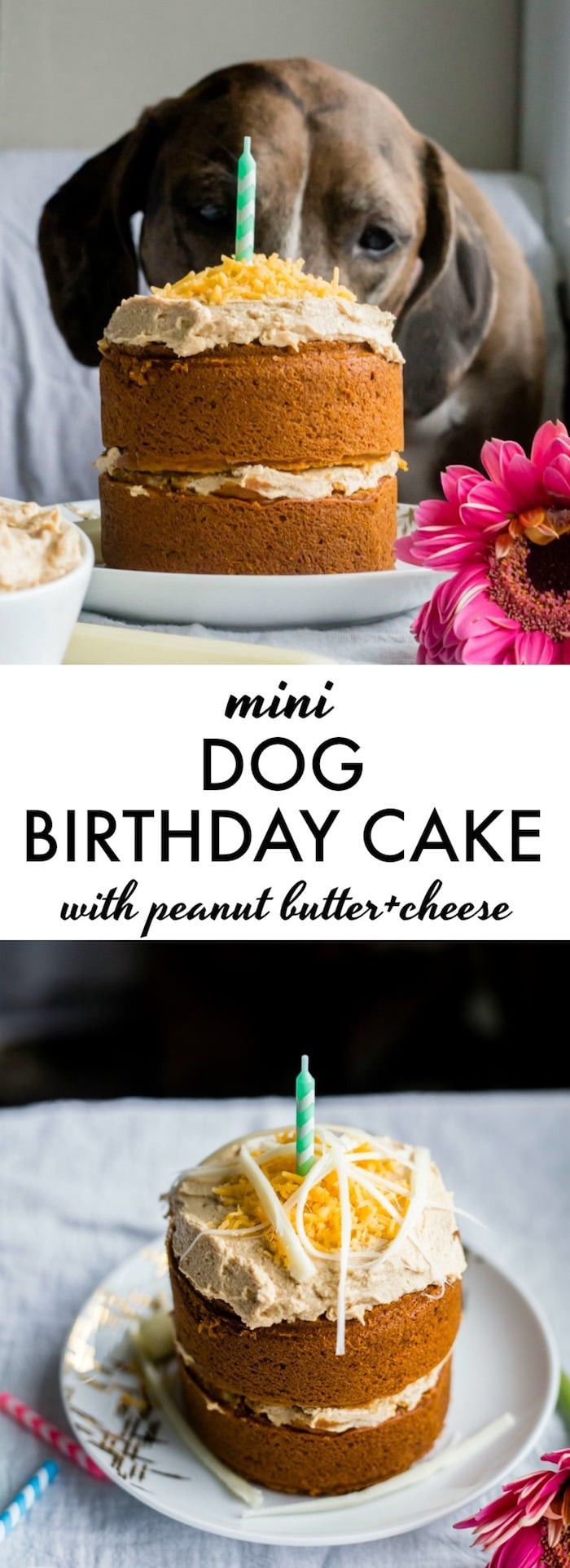 Birthday Cake Dog
 Mini Dog Birthday Cake The Almond Eater
