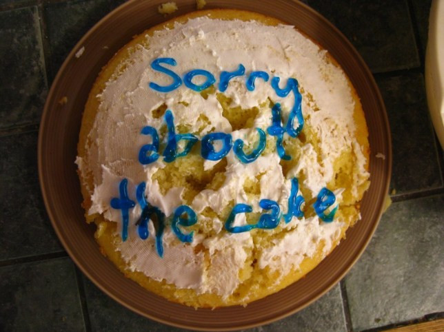 Birthday Cake Fail
 16 epic DIY birthday cake and baking fails that will go