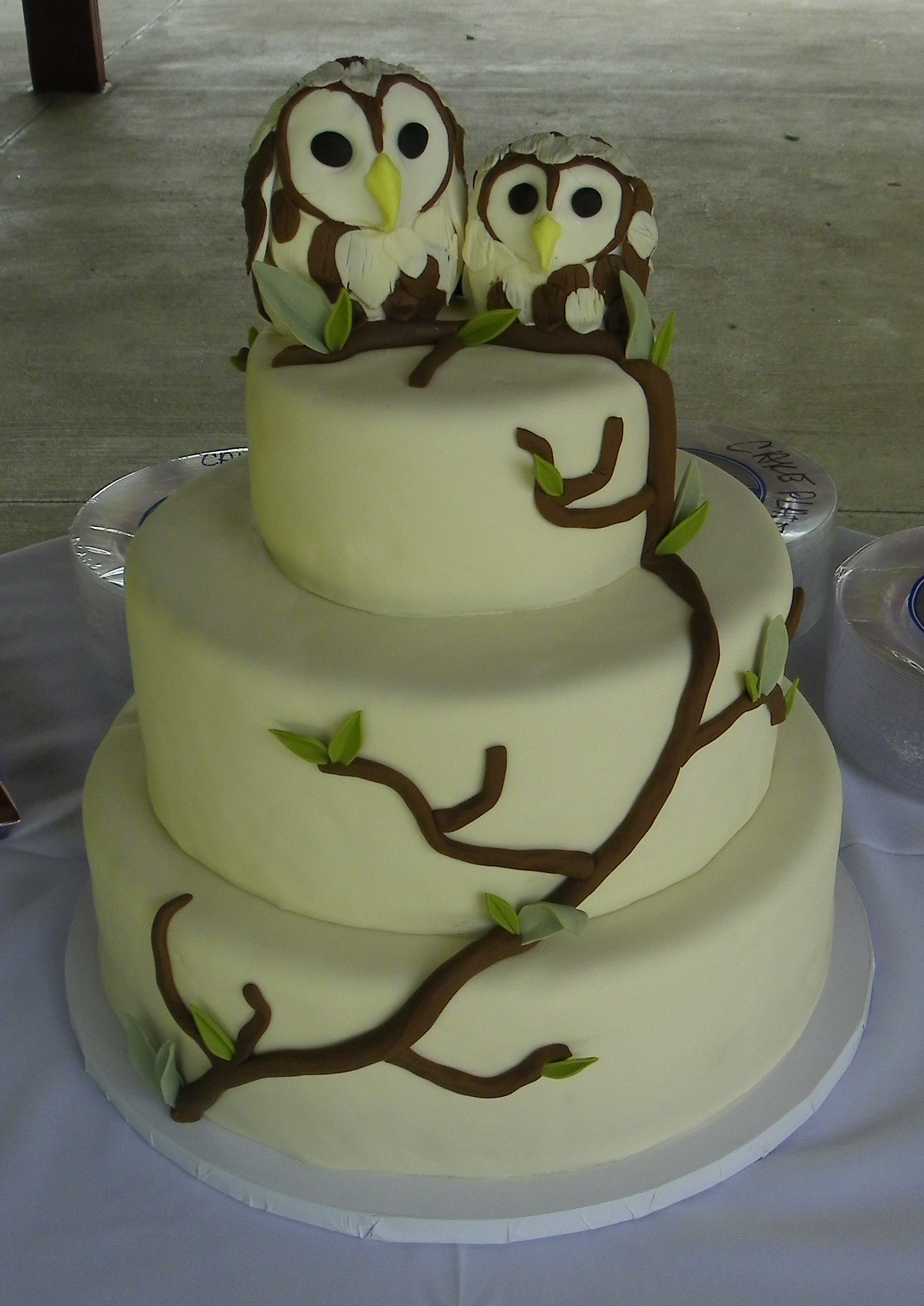 Birthday Cake Idea
 Owl Cakes – Decoration Ideas