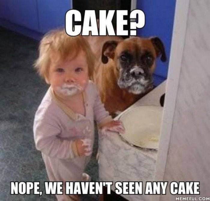 Birthday Cake Memes
 Cake meme – LaVack Fitness Blog