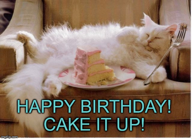 Birthday Cake Memes
 20 Cat Birthday Memes That Are Way Too Adorable