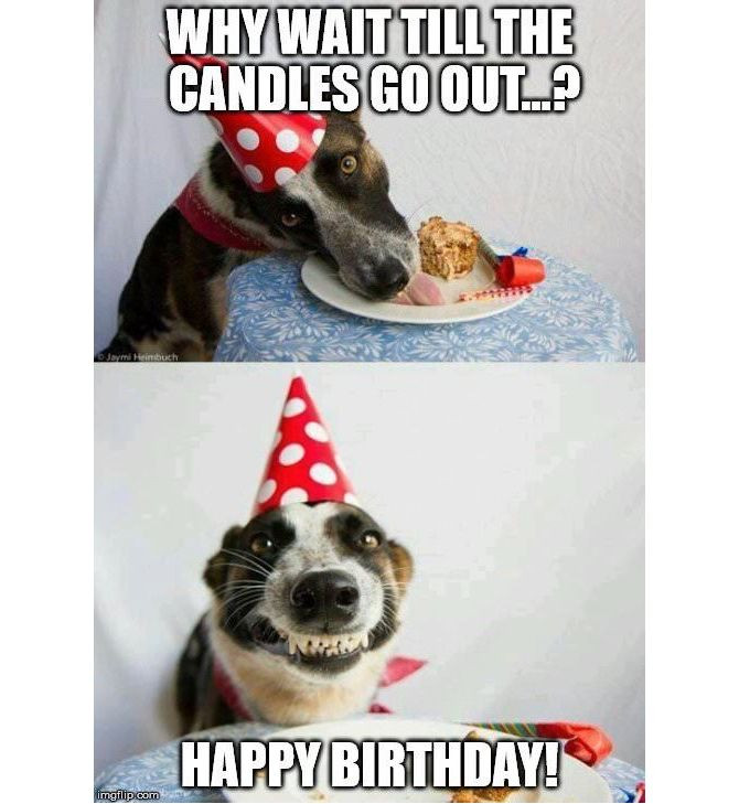 Birthday Cake Memes
 The 18 Best Happy Birthday Memes to Brighten Someone s Day