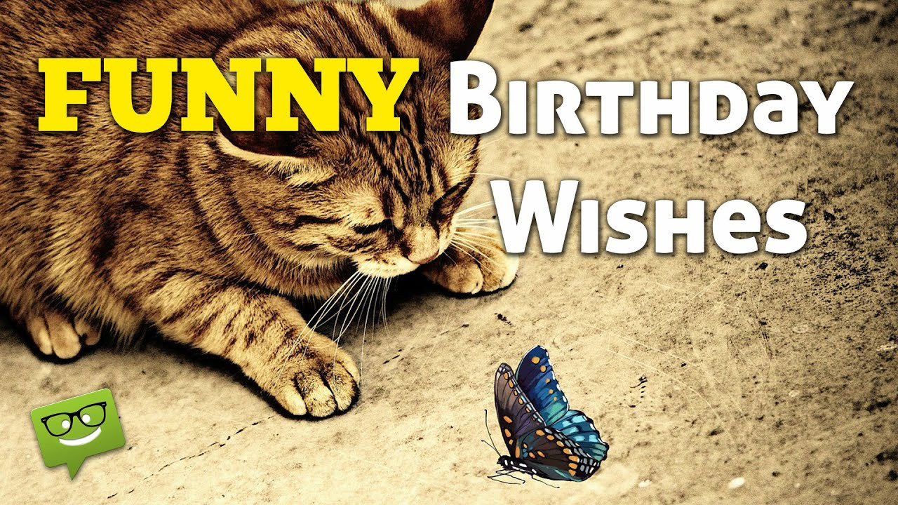 Birthday Funny Wishes
 Funny Birthday Wishes