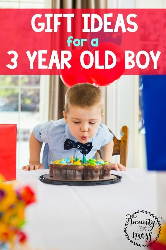 Birthday Gift Ideas For 3 Year Old Boy
 Gift Ideas for a 3 Year Old Boy