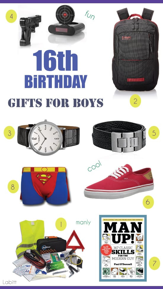 Birthday Gift Ideas For Teen Boys
 Best 16th Birthday Gifts for Teen Boys Metropolitan Girls