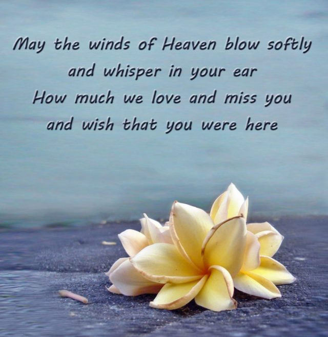 Birthday In Heaven Wishes
 182 PROFOUND Happy Birthday in Heaven Quotes & Wishes