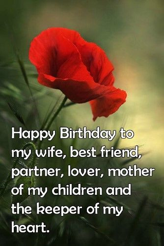 Birthday Quotes For Wife
 Best Birthday Quotes Birthday wishes for wife romantic