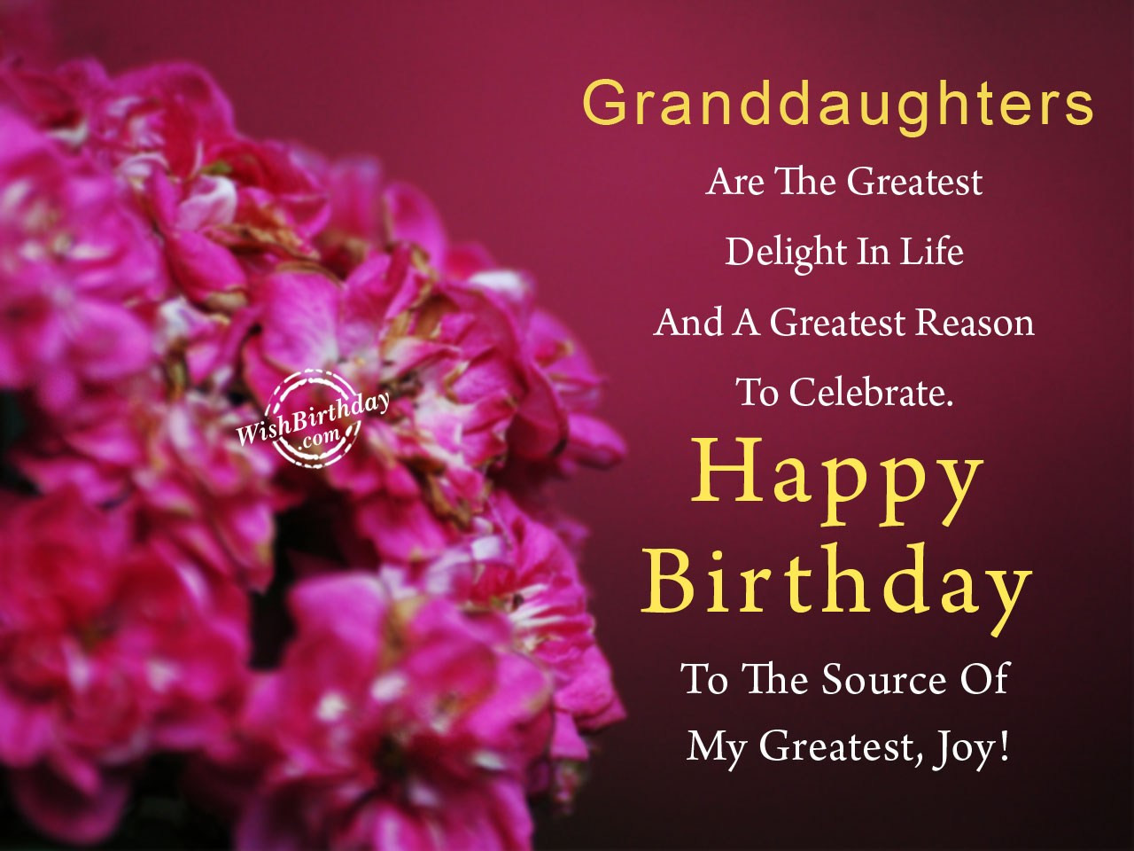 Birthday Wishes For My Granddaughter
 Birthday Wishes For Granddaughter Birthday