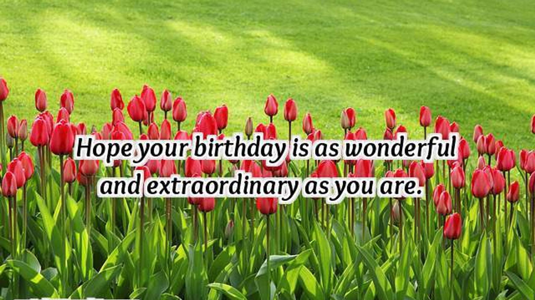 Birthday Wishes To A Good Friend
 23 Birthday Wishes for Friends & Best Friend Happy