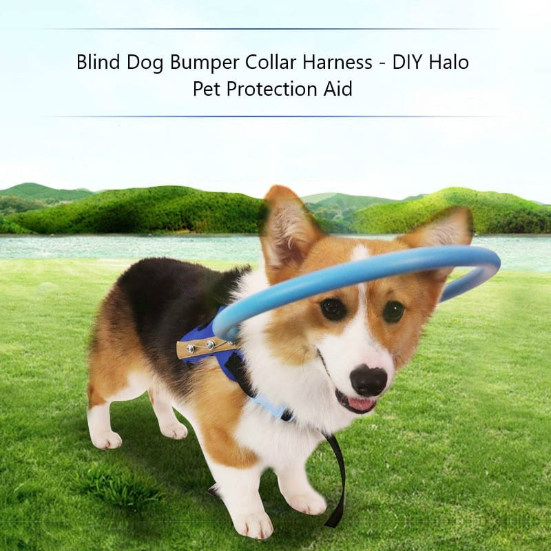 Blind Dog Halo DIY
 Blind Dog Bumper Collar Harness – DIY Halo Pet Protection