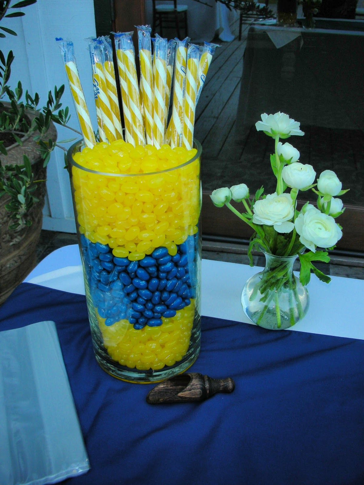 Blue And Yellow Graduation Party Ideas
 PROWLER blue gold display idea