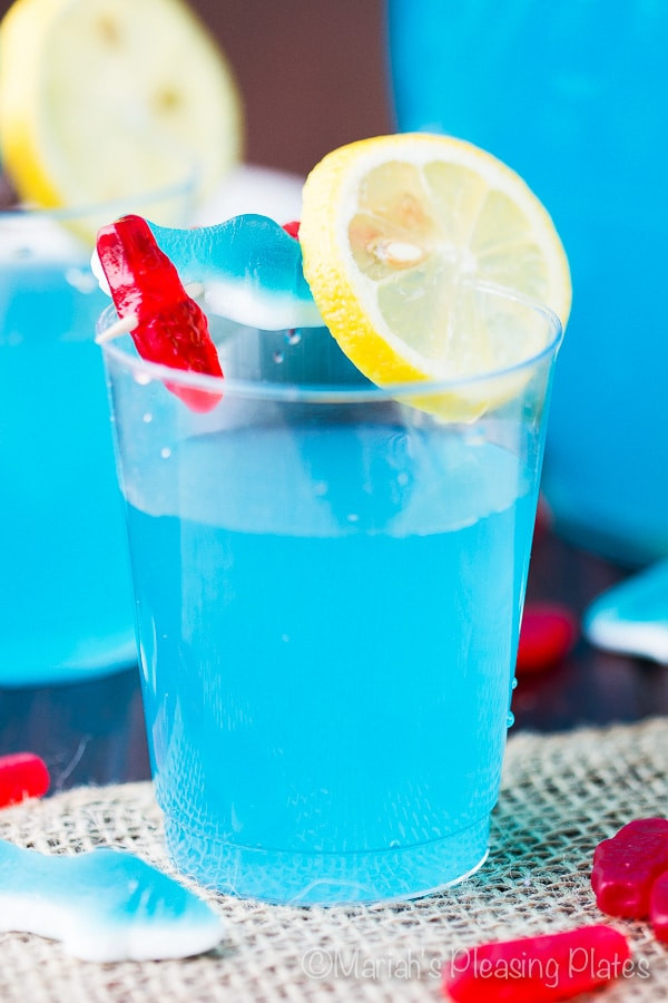 Blue Hawaiian Punch Recipes For Baby Showers
 Delicious Blue Punch Recipes You re Gonna Love Tulamama