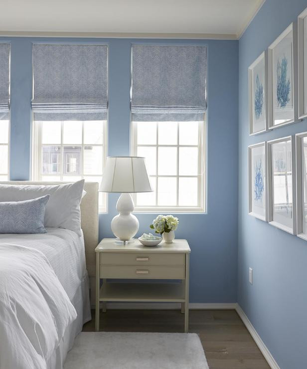 Blue Painted Bedroom
 Miscellaneous Painting a Bedroom Blue Shades Interior