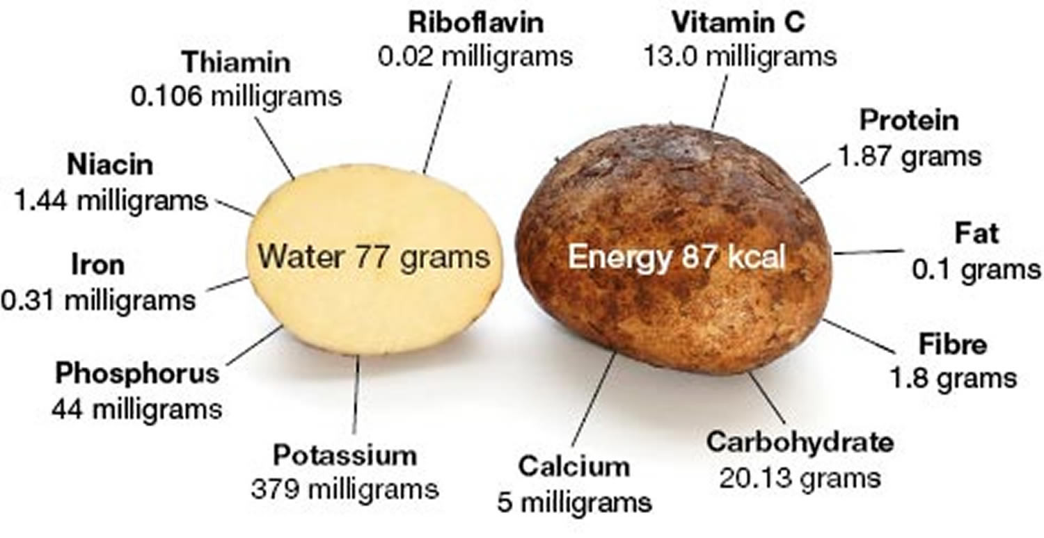 Boiled Potato Nutrition
 Potato Nutrition Facts Calories Fiber Fat Carbs and