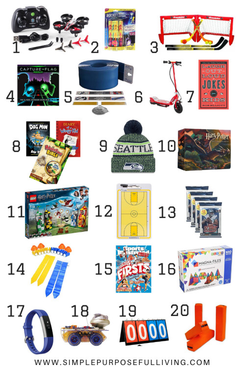 Boys Gift Ideas Age 6
 Best Gifts for Tween Boys Ages 6 12