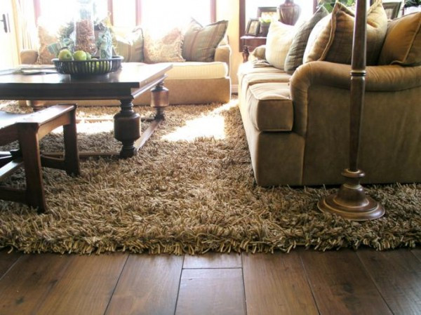 Brown Living Room Rugs
 Add Luxury and fort To Your Living Room With Shag Rugs