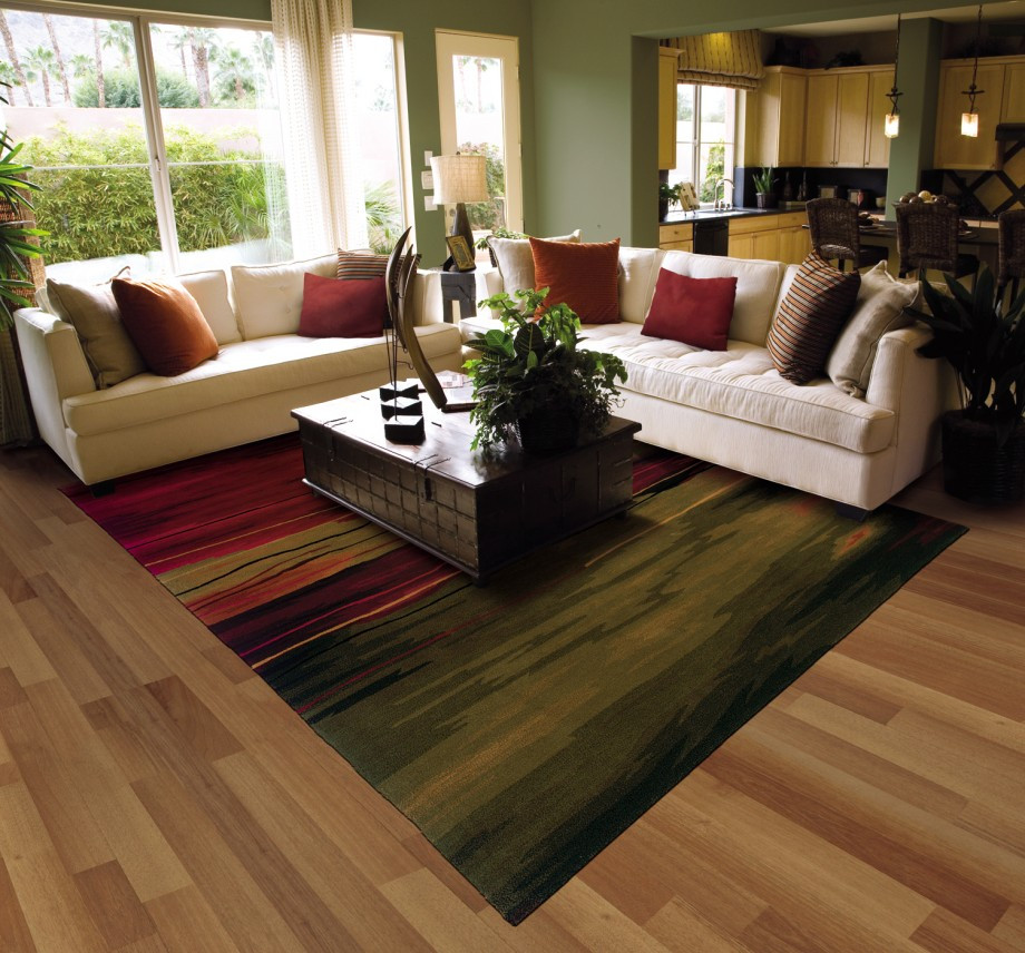 Brown Living Room Rugs
 carpets