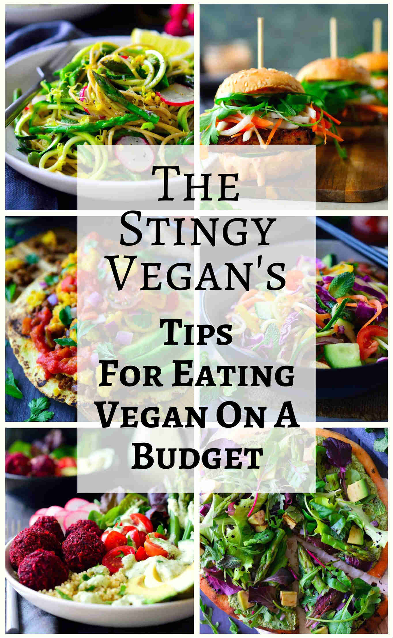Budget Vegetarian Recipes
 Vegan on a Bud Money Saving Tips from The Stingy Vegan