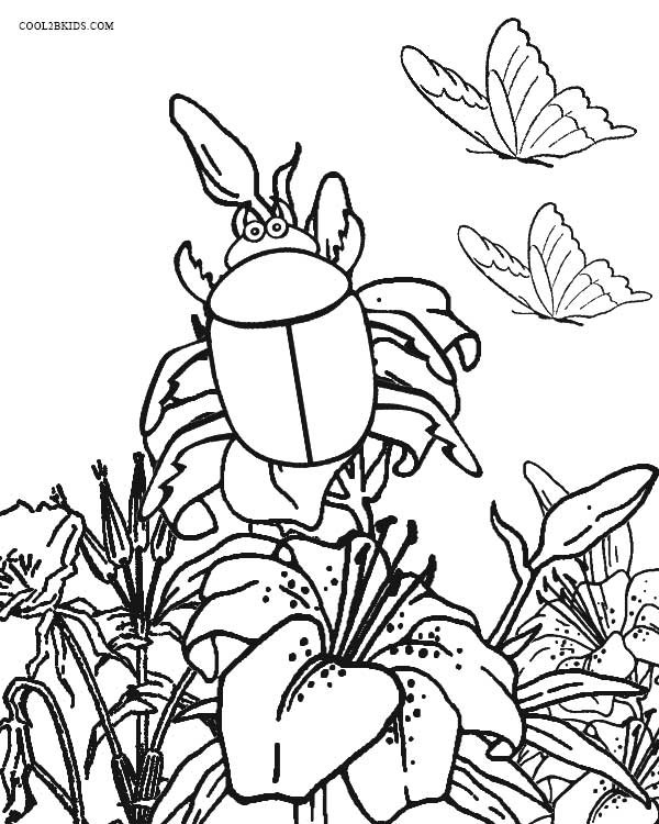 Bug Coloring Pages For Kids
 Realistic Insect Coloring Pages at GetDrawings