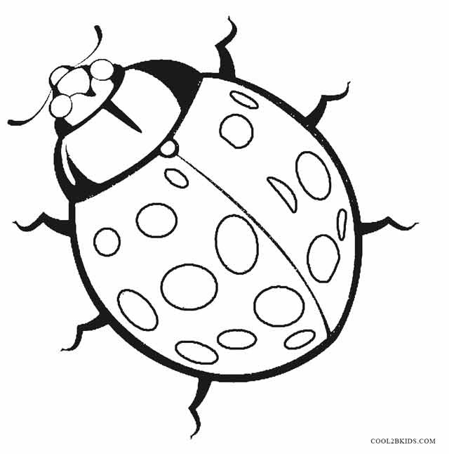 Bug Coloring Pages For Kids
 Insect Drawing For Kids at GetDrawings