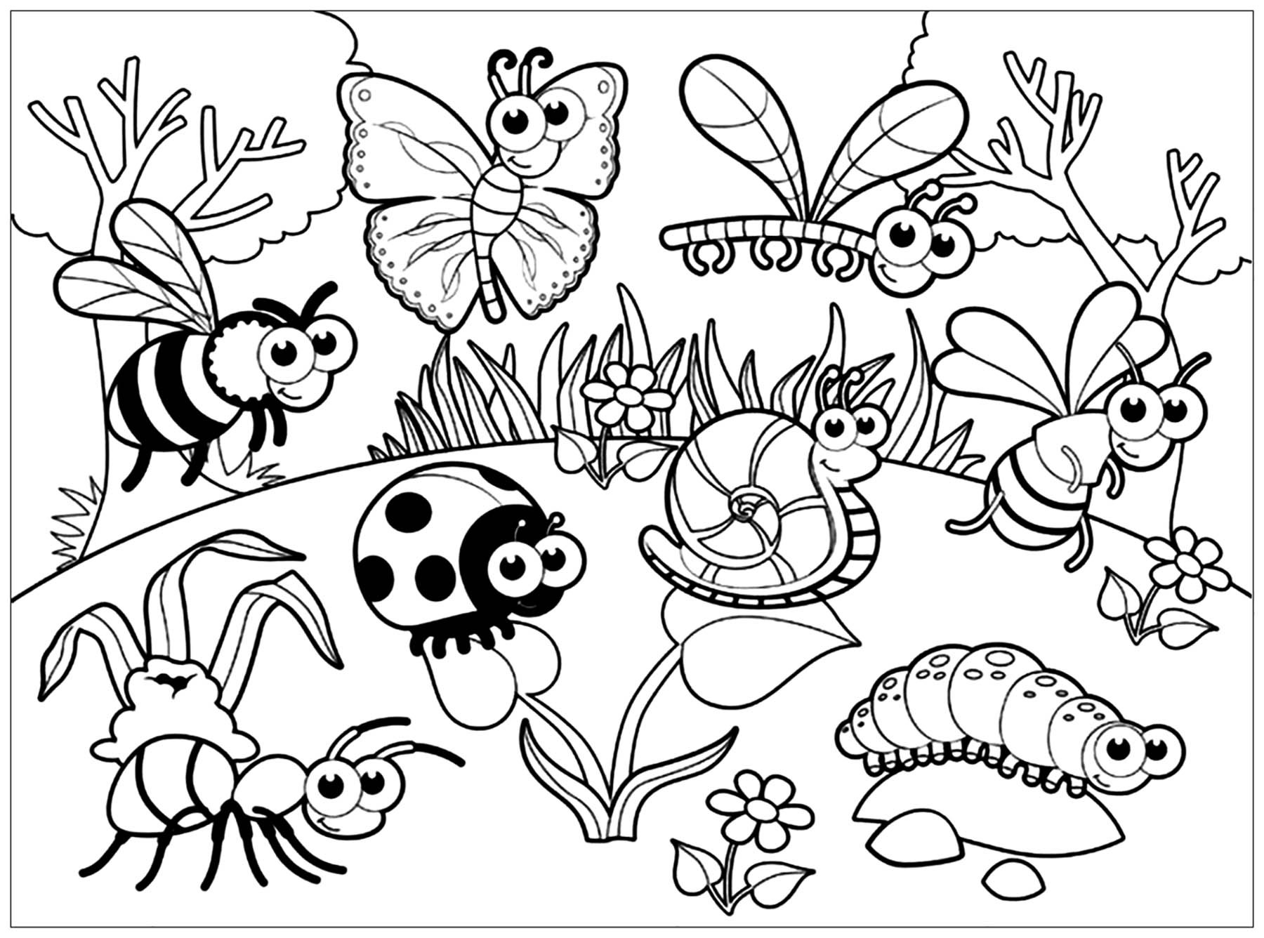 Bug Coloring Pages For Kids
 Insects to print Insects Kids Coloring Pages