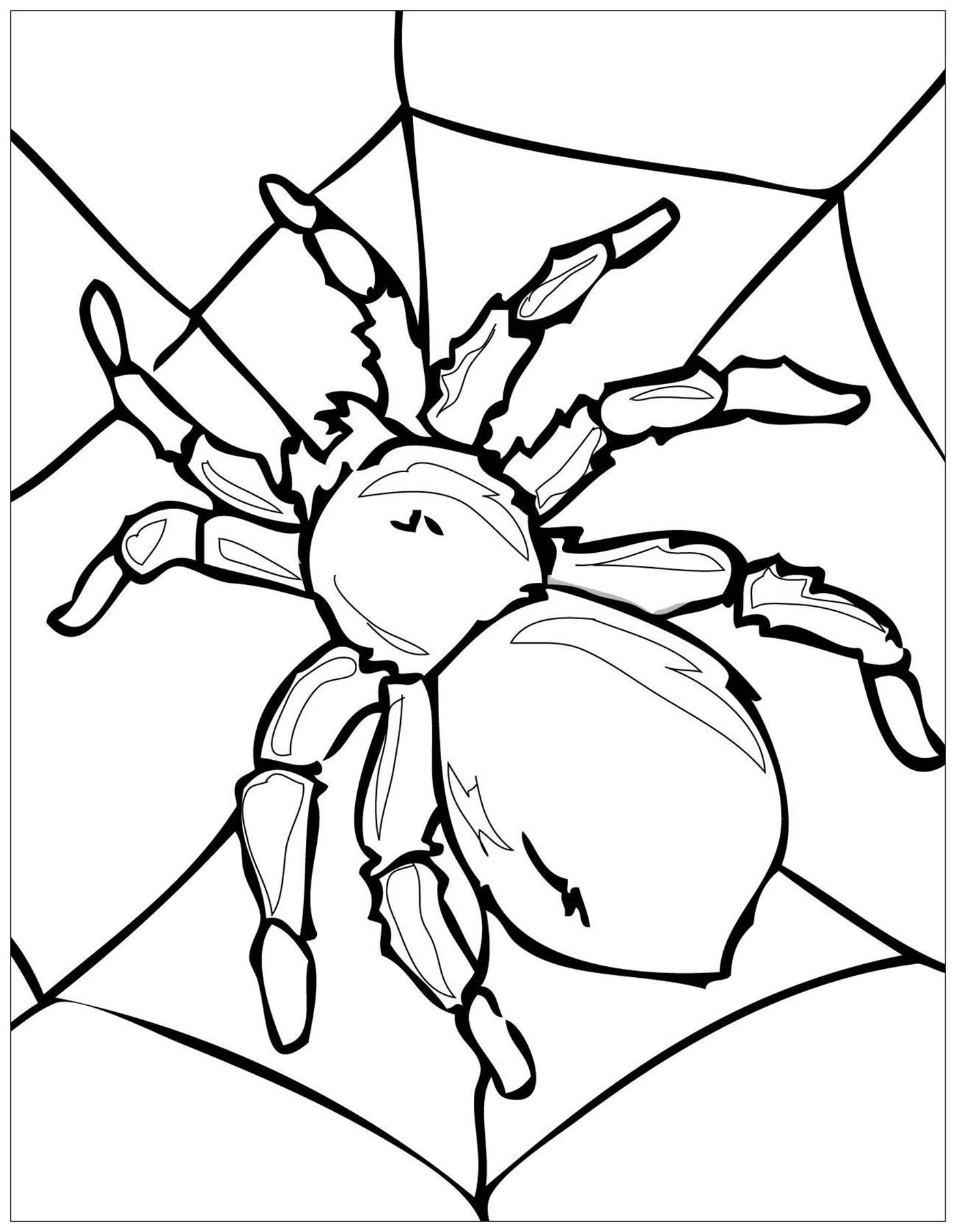 Bug Coloring Pages For Kids
 Insects to Insects Kids Coloring Pages