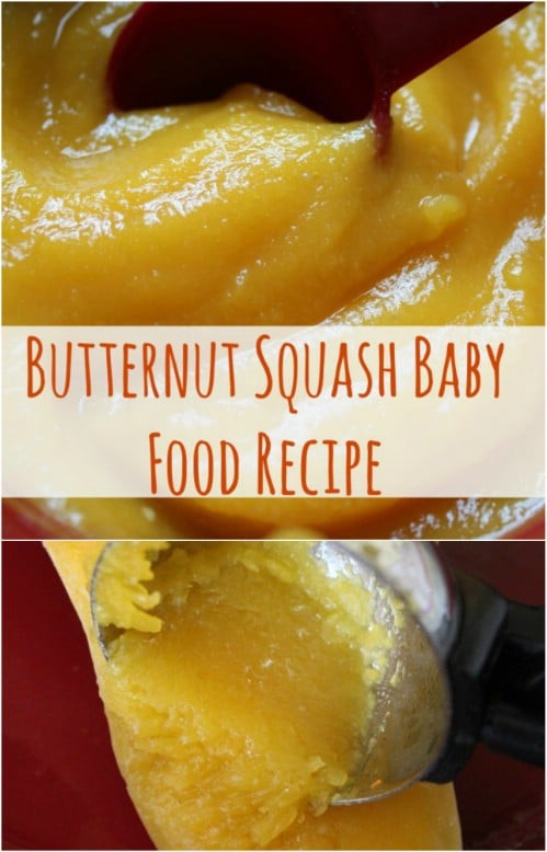 Butternut Squash Baby Food Recipe
 25 Frugal Homemade Baby Food Recipes That Your Little e