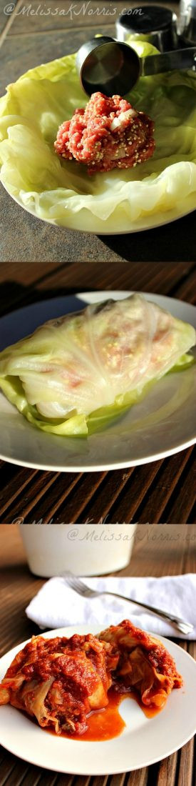 Cabbage Rolls Slow Cooker
 Pioneering Today Slow Cooker Cabbage Rolls Recipe