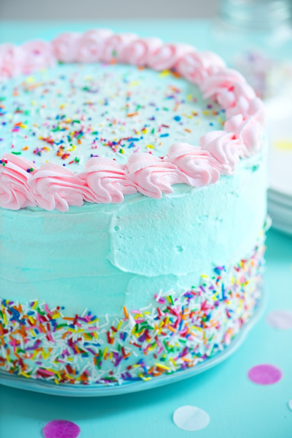 Cakes For Birthday
 53 Best Homemade Ice Cream Cake Recipes – Page 3 of 5 – My