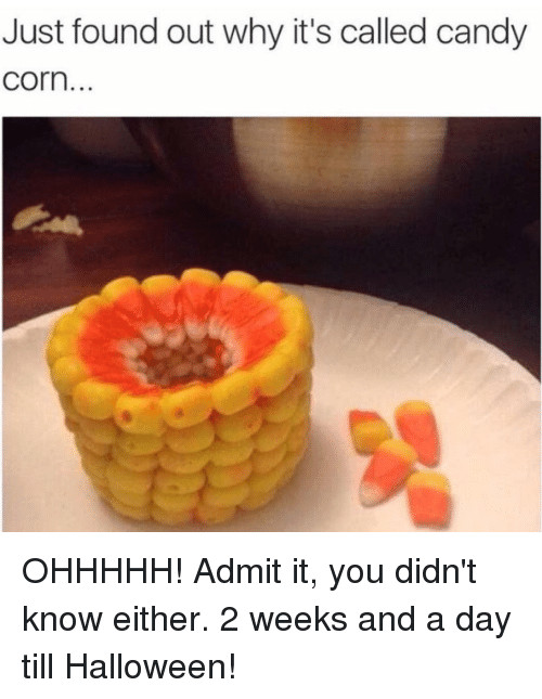 Candy Corn Meme
 25 Best Memes About Candy Corn