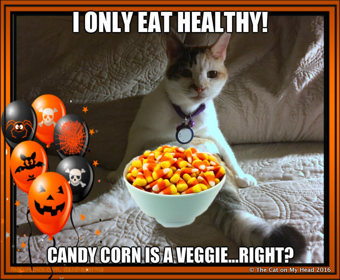 Candy Corn Meme
 The Cat on My Head does friendly fill ins question about