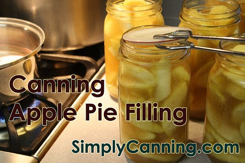 Canning Apple Pie Filling Without Clear Jel
 23 Best Ideas Canning Apple Pie Filling without Clear Jel
