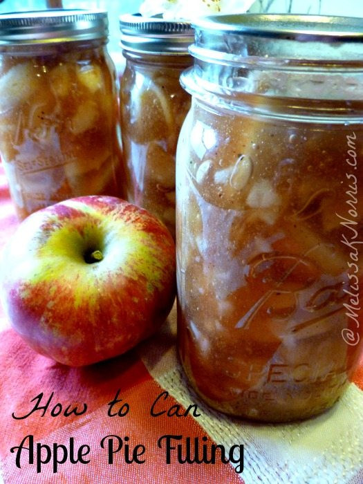Canning Apple Pie Filling Without Clear Jel
 23 Ideas for Canning Apple Pie Filling without Clear Jel