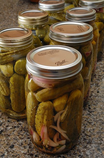 Canning Sweet Pickles
 Spicy Dill and Spicy Sweet Dill Pickles