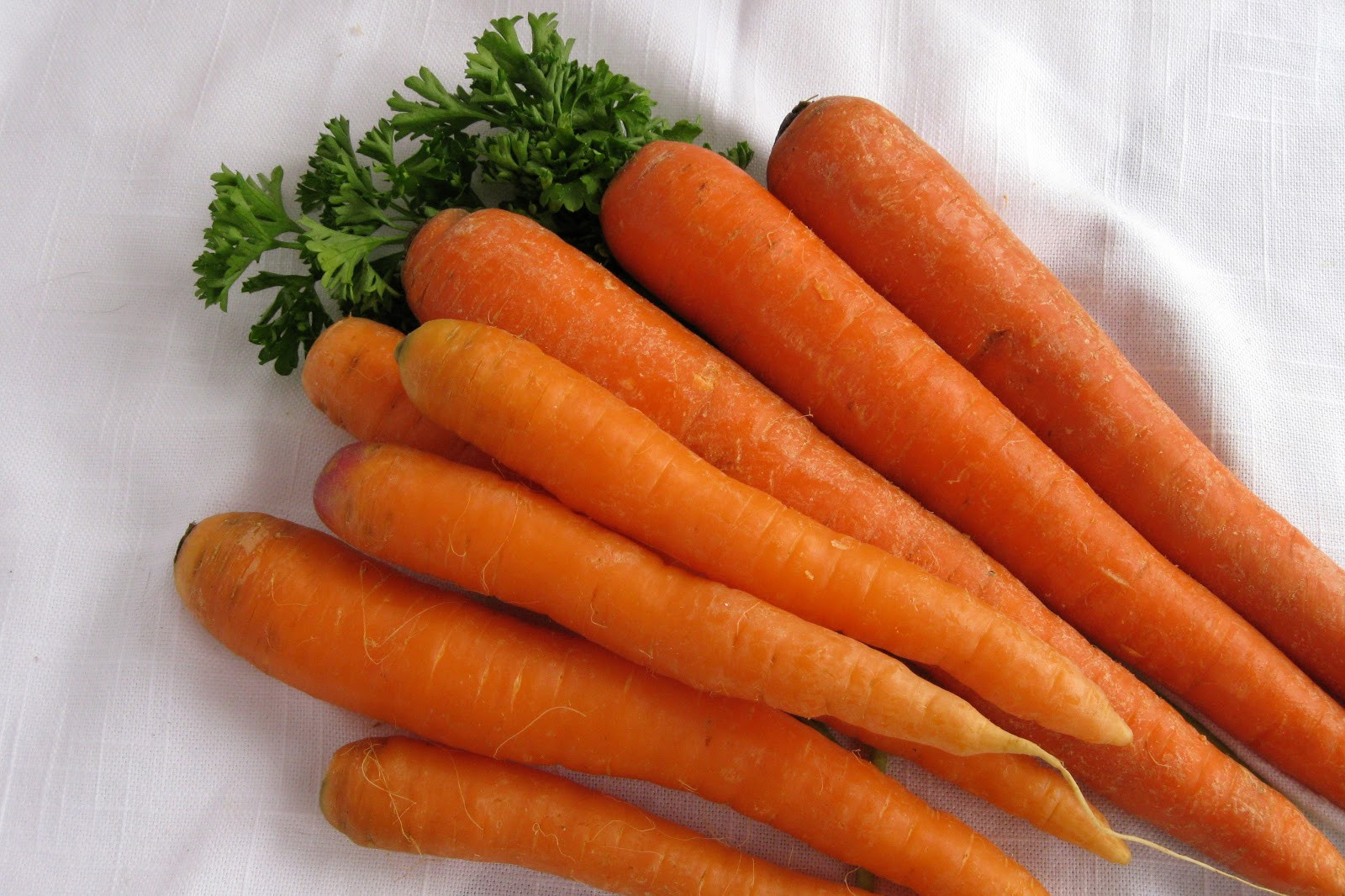 Carrot Fruit Or Vegetable
 Carrot Fruits And Ve ables