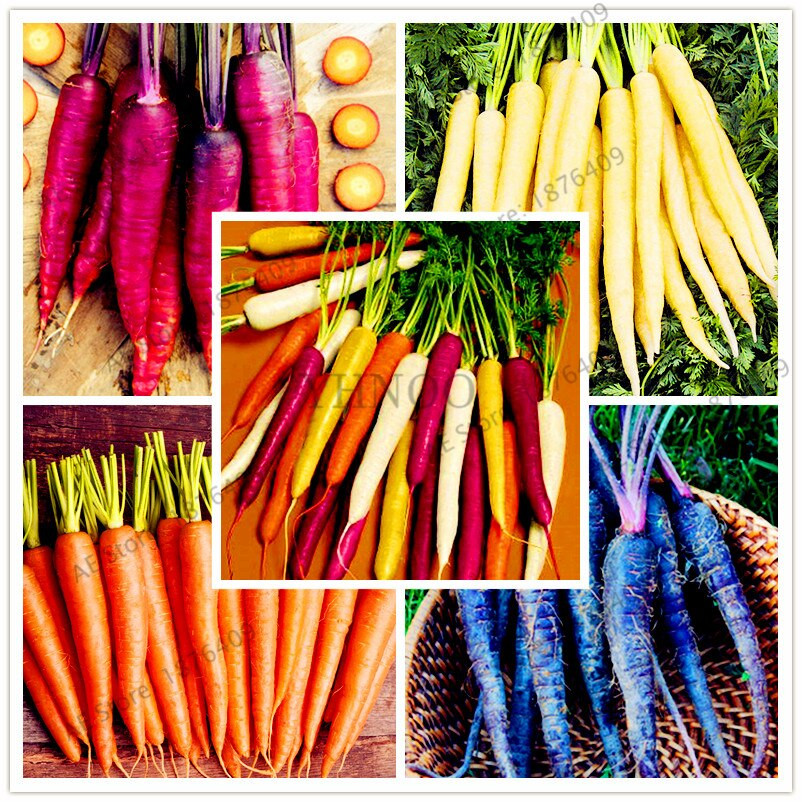 Carrot Fruit Or Vegetable
 Aliexpress Buy Carrot bonsai fruit ve able flores
