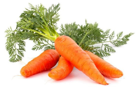 Carrot Fruit Or Vegetable
 Carrots