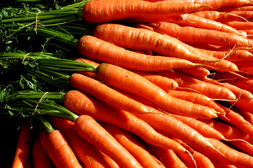 Carrot Fruit Or Vegetable
 Carrots – It’s The Carotene That Gives Them Color